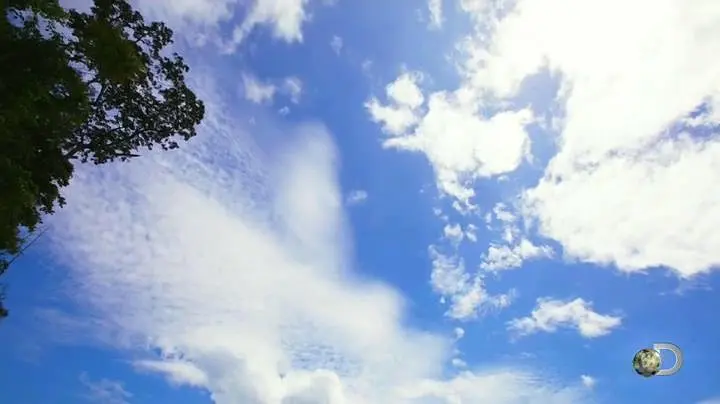 毒蛇岛寻宝任务 第一季 Treasure Quest: Snake Island Season 1