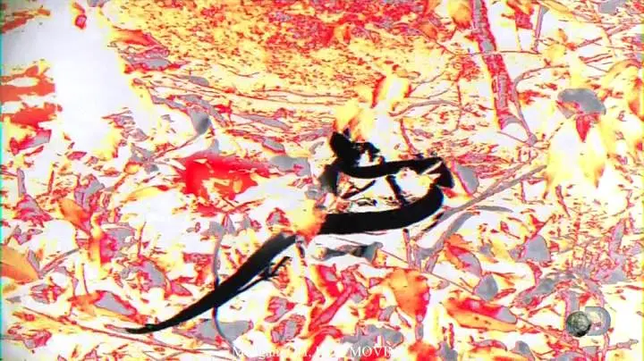 毒蛇岛寻宝任务 第一季 Treasure Quest: Snake Island Season 1