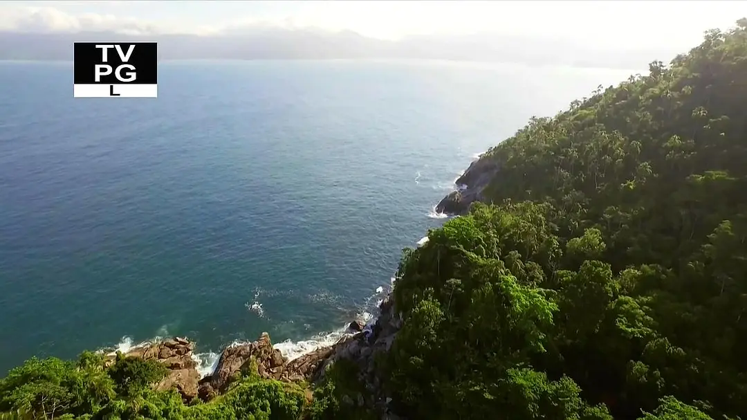 毒蛇岛寻宝任务 第一季 Treasure Quest: Snake Island Season 1