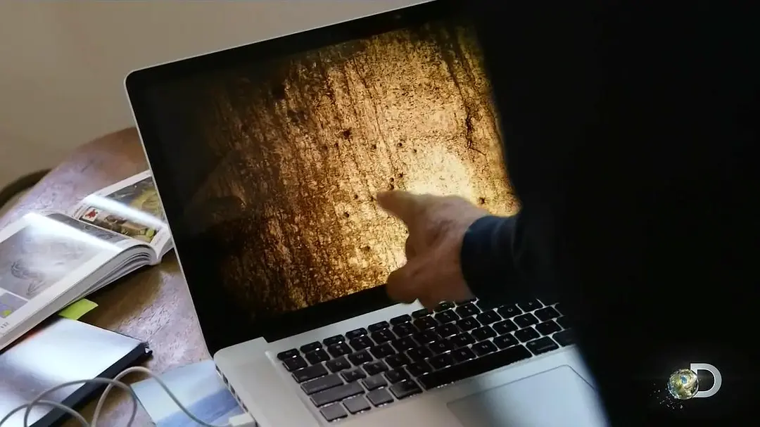 毒蛇岛寻宝任务 第一季 Treasure Quest: Snake Island Season 1