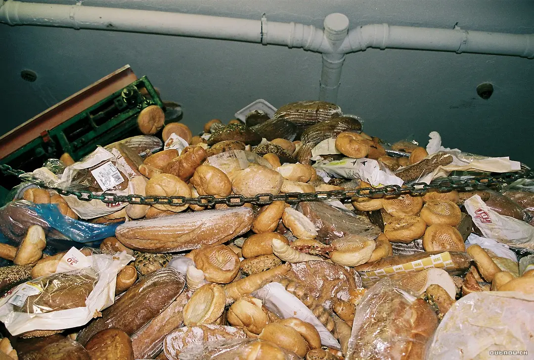 我们喂养世界 We Feed the World