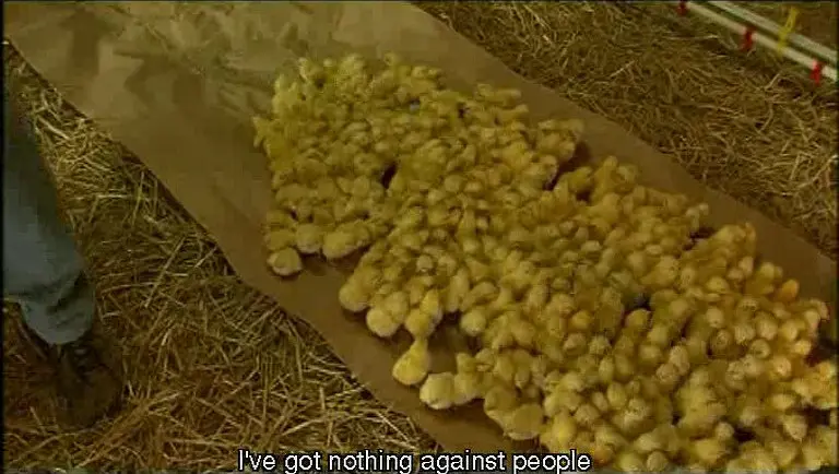 我们喂养世界 We Feed the World