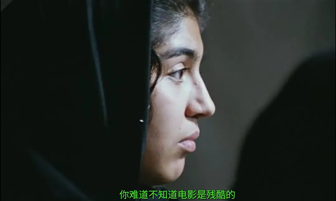 电影万岁 سلام سینما