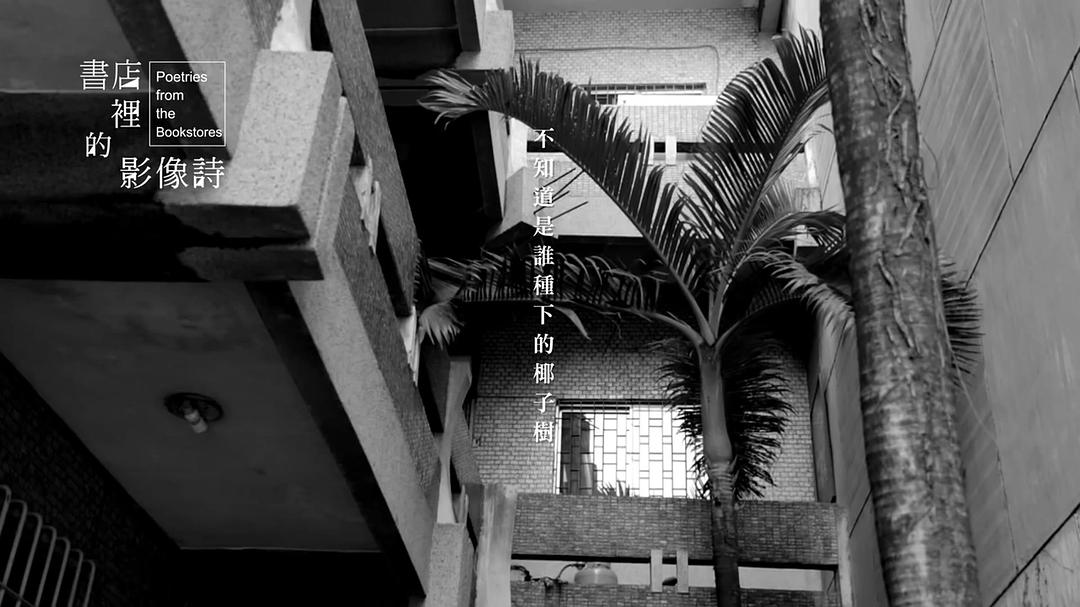 书店里的影像诗 書店里的影像詩