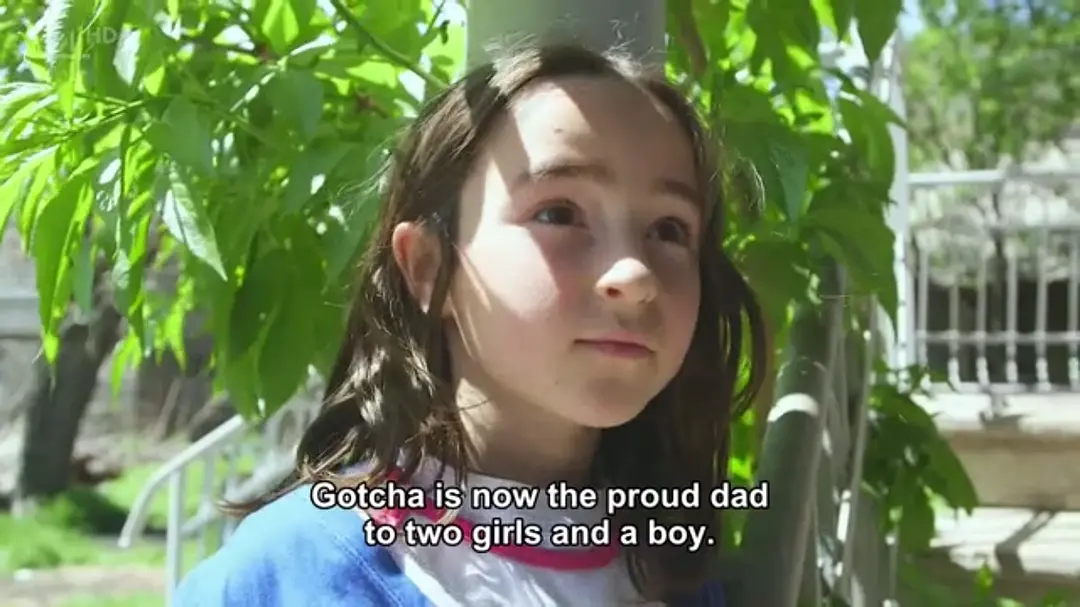 从俄罗斯到伊朗：跨越狂野边境 From Russia to Iran: Crossing the Wild Frontier