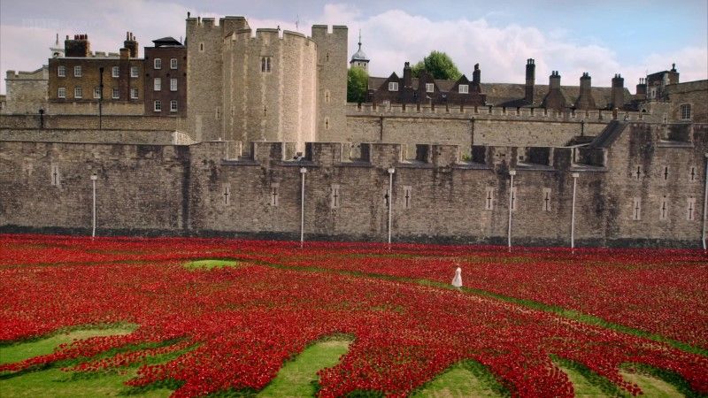 亲密共舞：舞蹈的私密历史 Dancing Cheek To Cheek: An Intimate History Of Dance