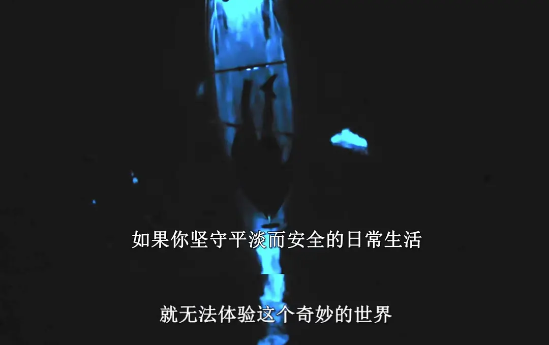 欢迎来地球 Welcome to Earth