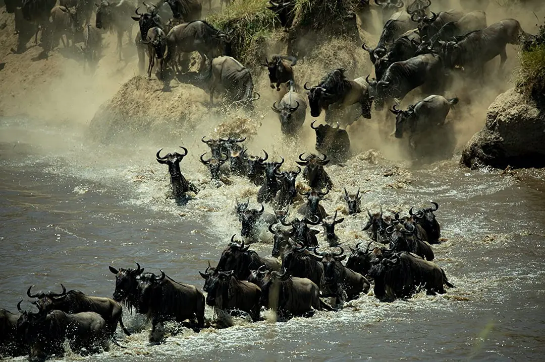 欢迎来地球 Welcome to Earth