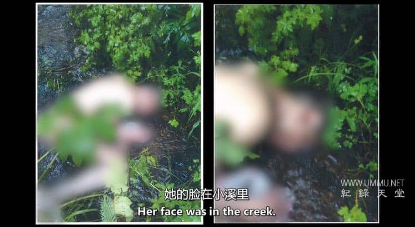 失踪411：被追捕者 Missing 411: The Hunted