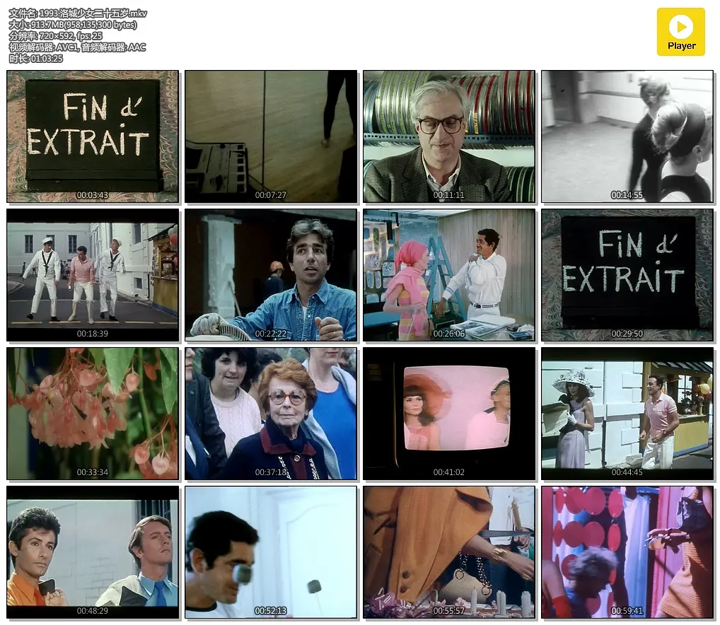 洛城少女二十五岁 Les demoiselles ont eu 25 ans