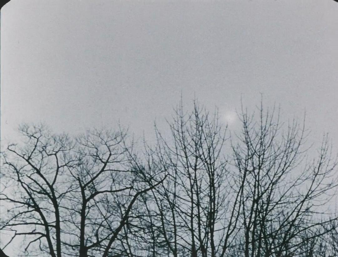 回忆立陶宛之旅 Reminiscences of a Journey to Lithuania