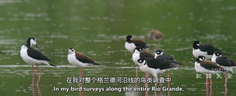 河流和城墙 The River and the Wall