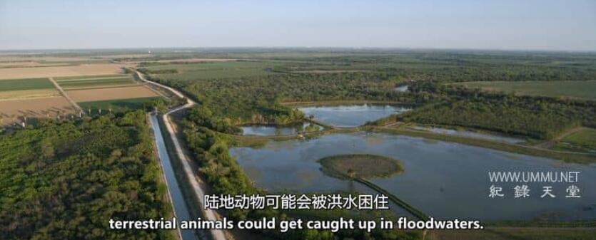 河流和城墙 The River and the Wall