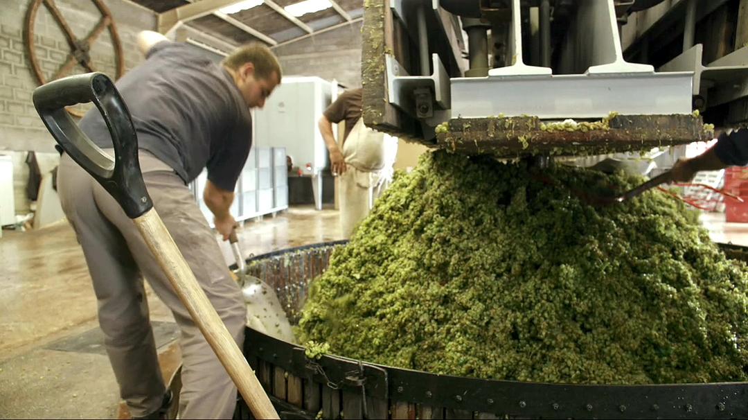 香槟的一年 A Year in Champagne