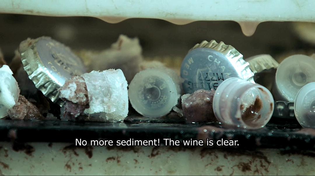 香槟的一年 A Year in Champagne