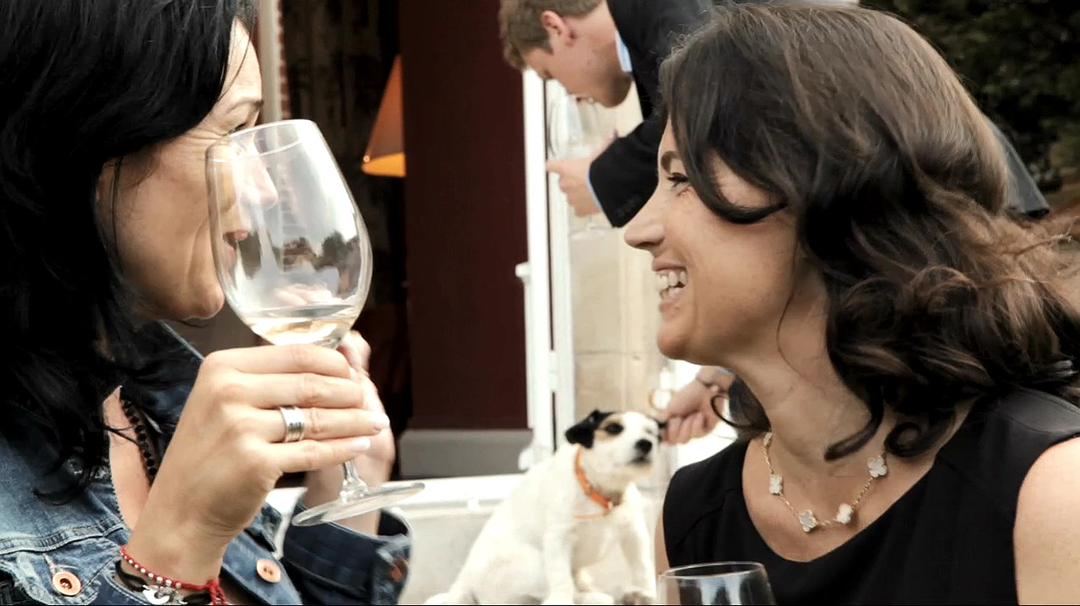 香槟的一年 A Year in Champagne