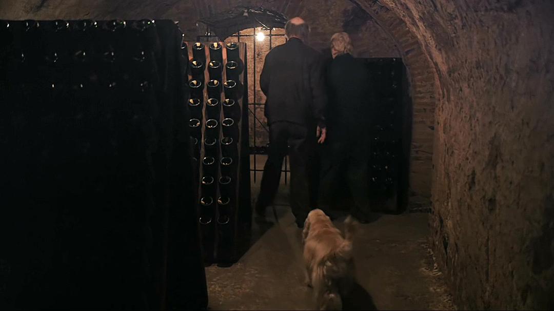 香槟的一年 A Year in Champagne