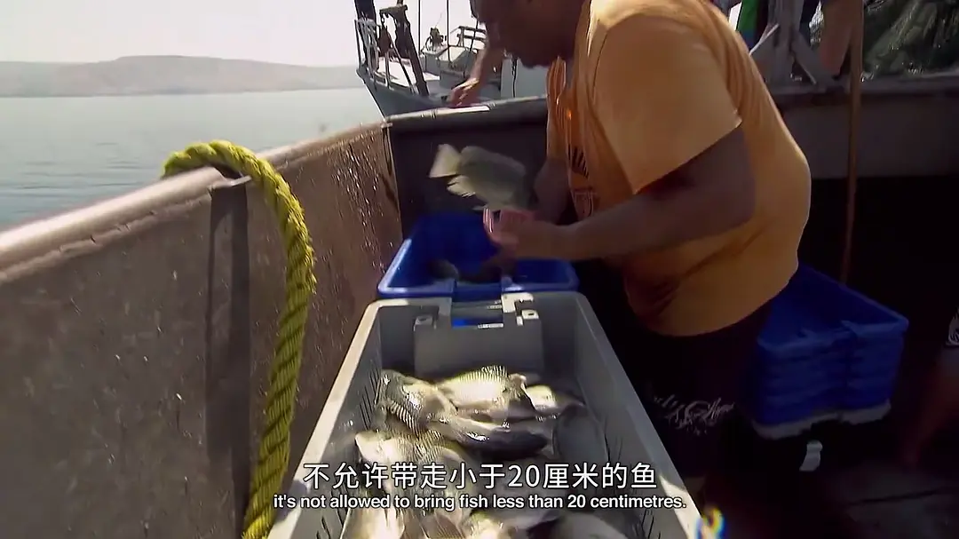 以色列味道 The Taste of Israel