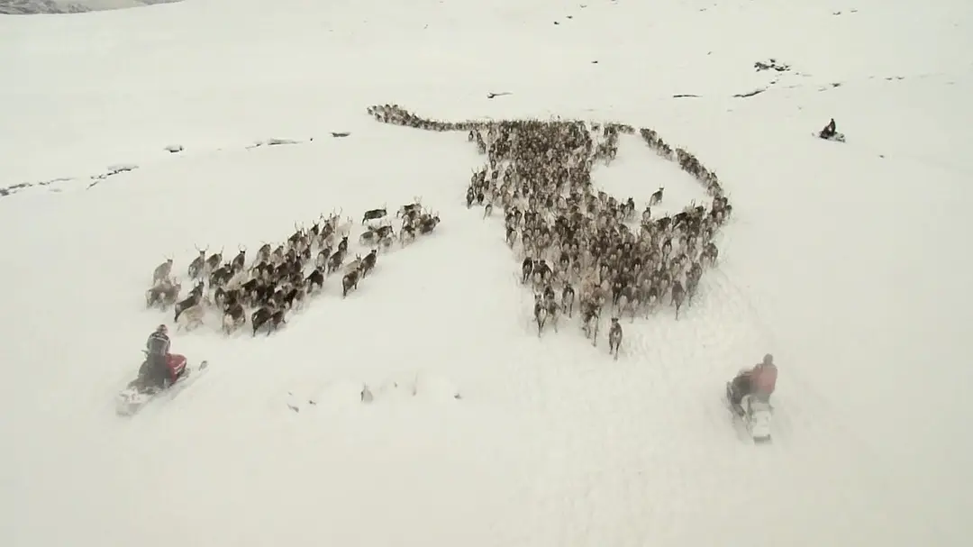 与布鲁斯·帕里游北极 Arctic with Bruce Parry