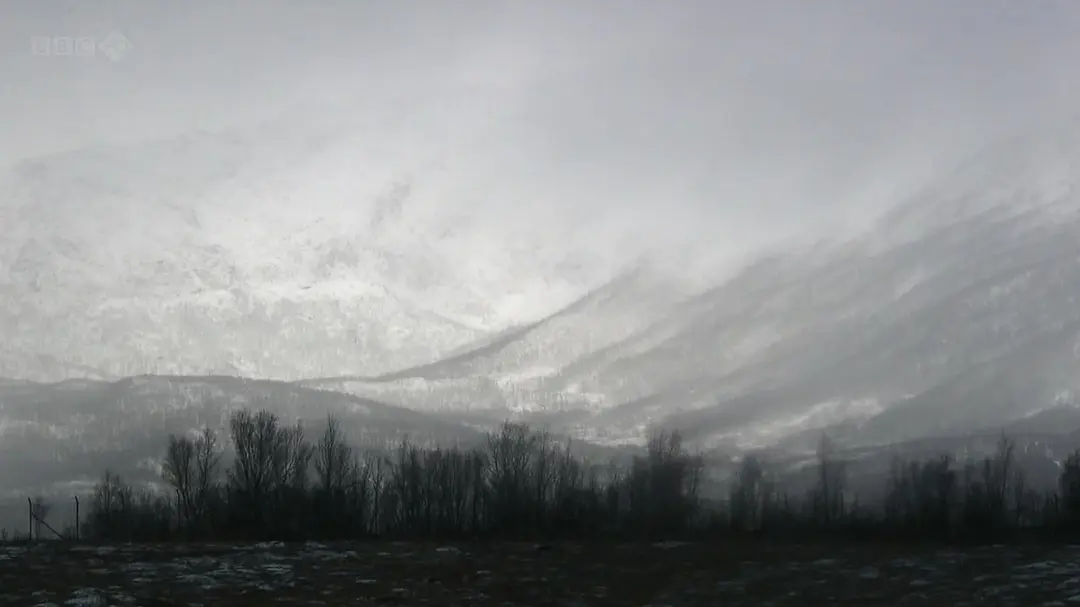 与布鲁斯·帕里游北极 Arctic with Bruce Parry