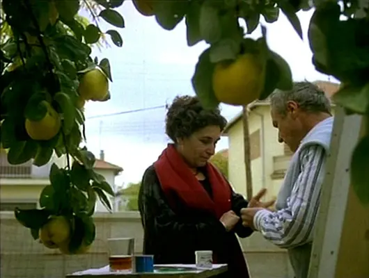 榅桲树阳光 El sol del membrillo