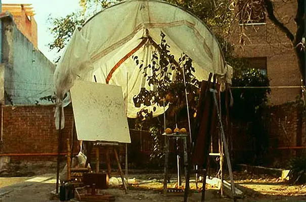 榅桲树阳光 El sol del membrillo