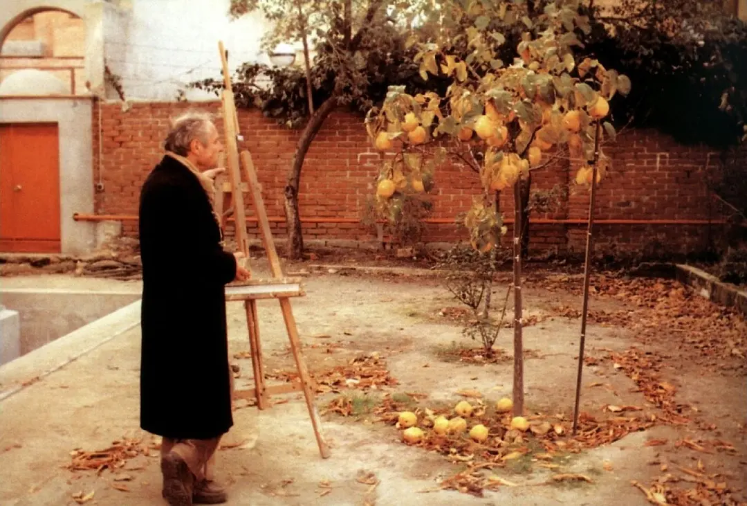 榅桲树阳光 El sol del membrillo