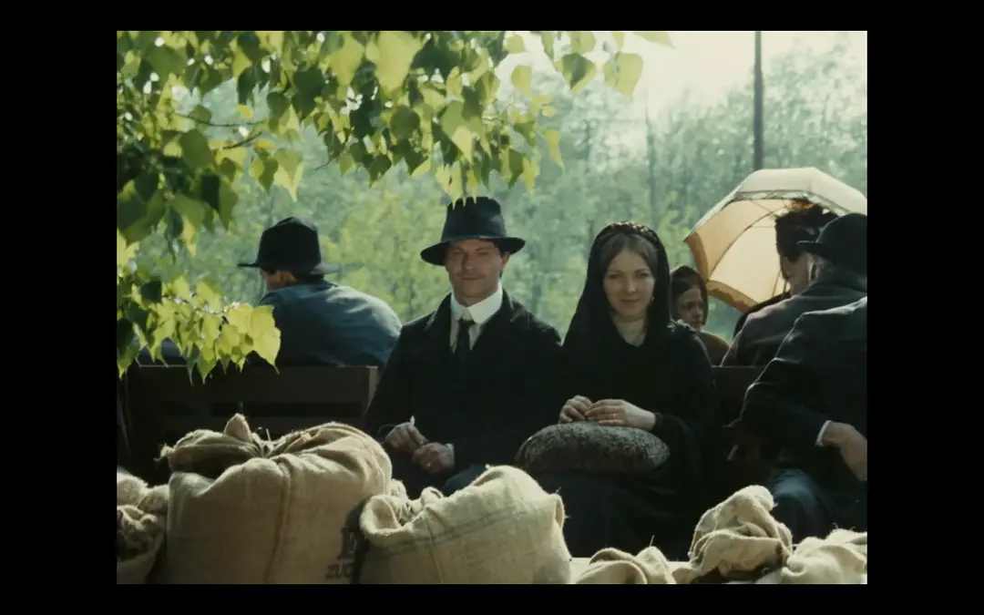 木屐树 L'albero degli zoccoli