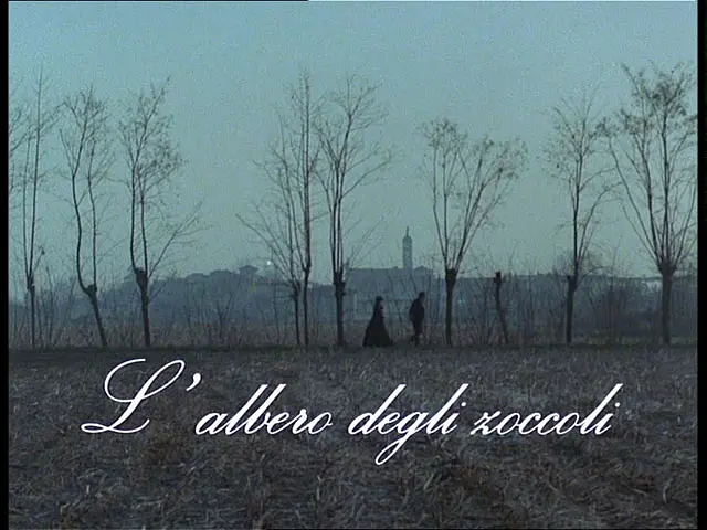 木屐树 L'albero degli zoccoli