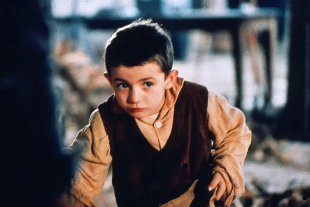 木屐树 L'albero degli zoccoli