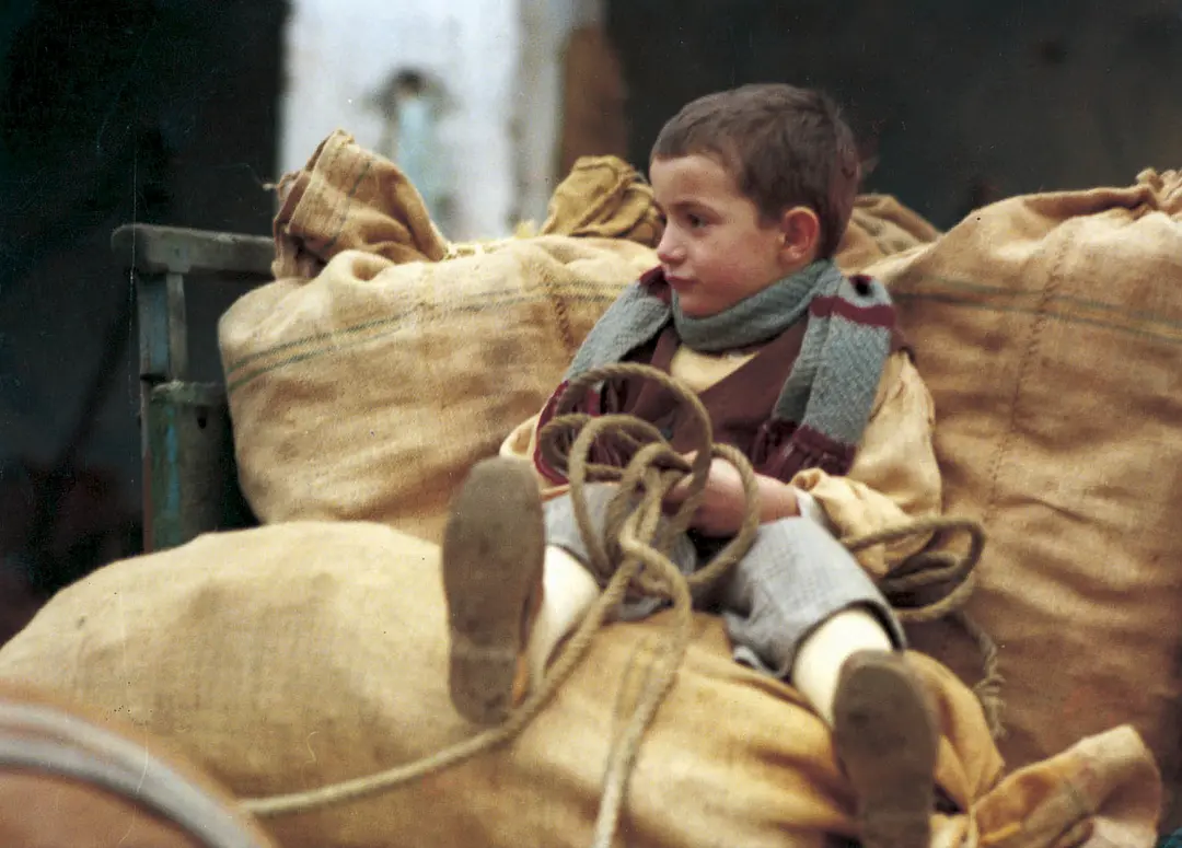 木屐树 L'albero degli zoccoli