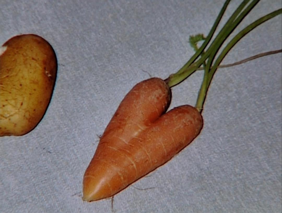 艾格妮捡风景：两年后 Les glaneurs et la glaneuse… deux ans après