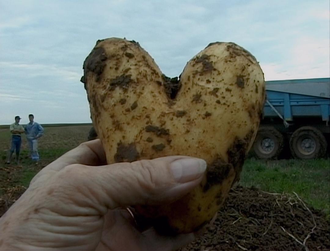 艾格妮捡风景：两年后 Les glaneurs et la glaneuse… deux ans après