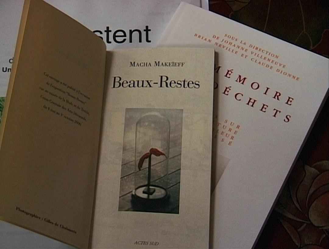 艾格妮捡风景：两年后 Les glaneurs et la glaneuse… deux ans après