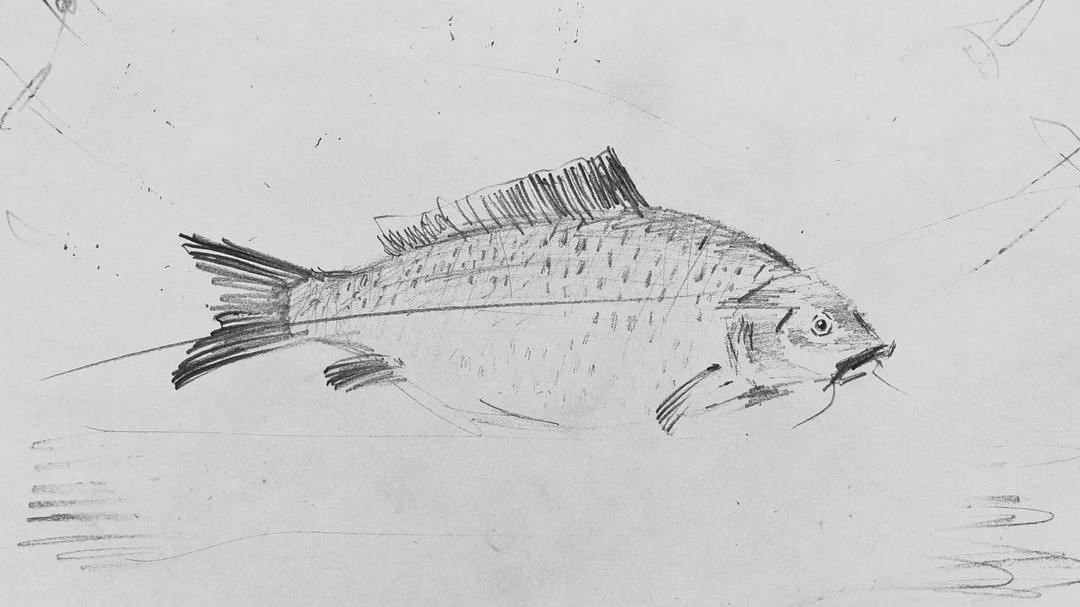 脱北者的艺术 I Am Sun Mu