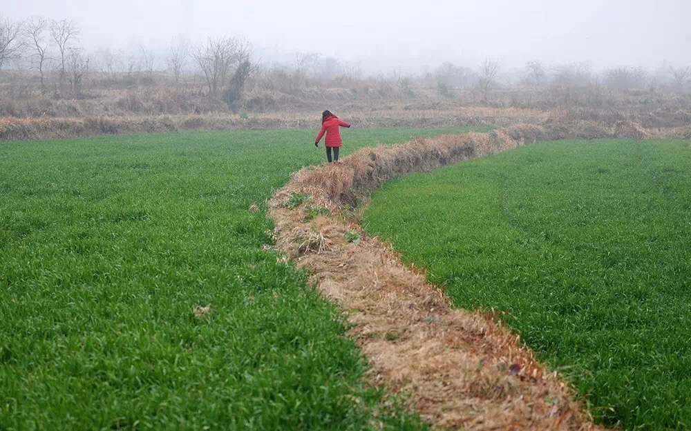 摇摇晃晃的人间