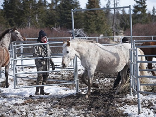 家在阿拉斯加 第一季 Alaska: The Last Frontier Season 1