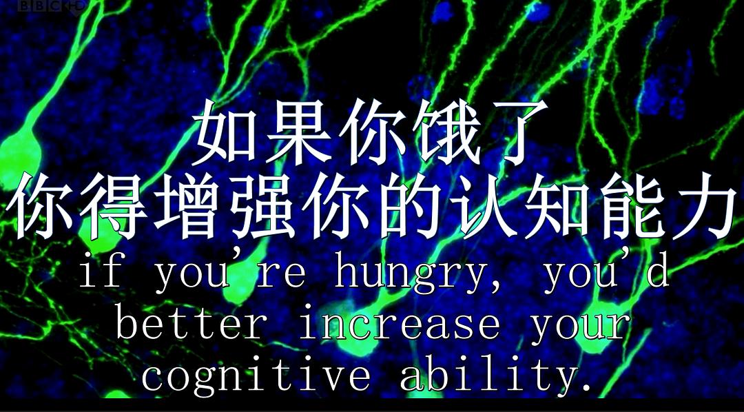 节食与长寿 Horizon: Eat, Fast and Live Longer