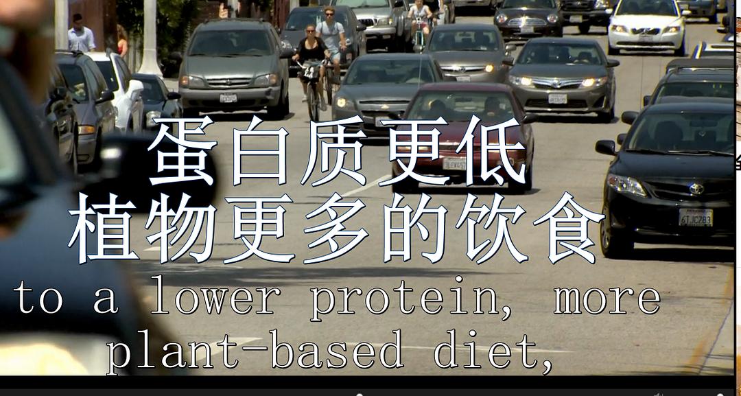 节食与长寿 Horizon: Eat, Fast and Live Longer