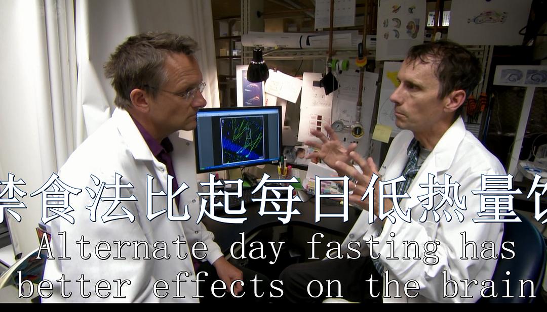节食与长寿 Horizon: Eat, Fast and Live Longer