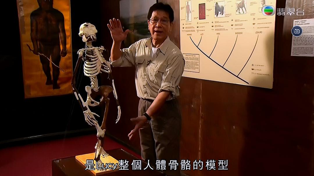 TVB台庆纪录片：活着