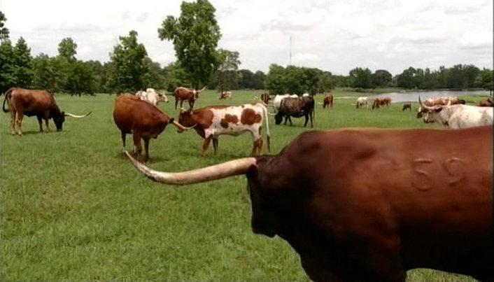 未来景象 Visions of the Future