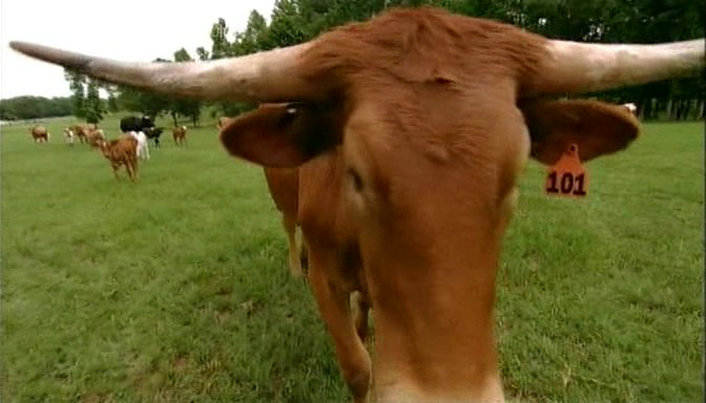 未来景象 Visions of the Future