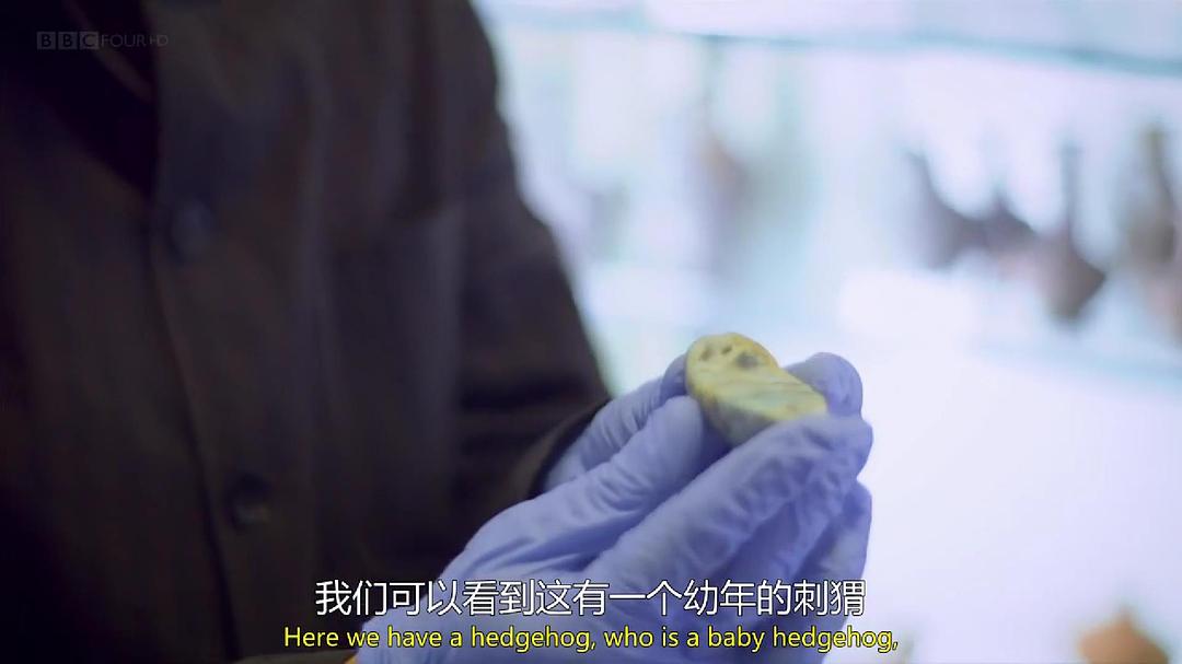 古埃及的瑰宝 Treasures of Ancient Egypt