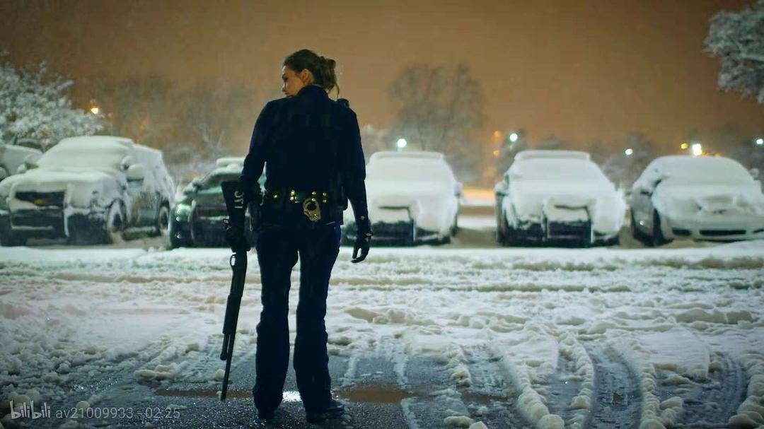 弗林特警局 Flint Town