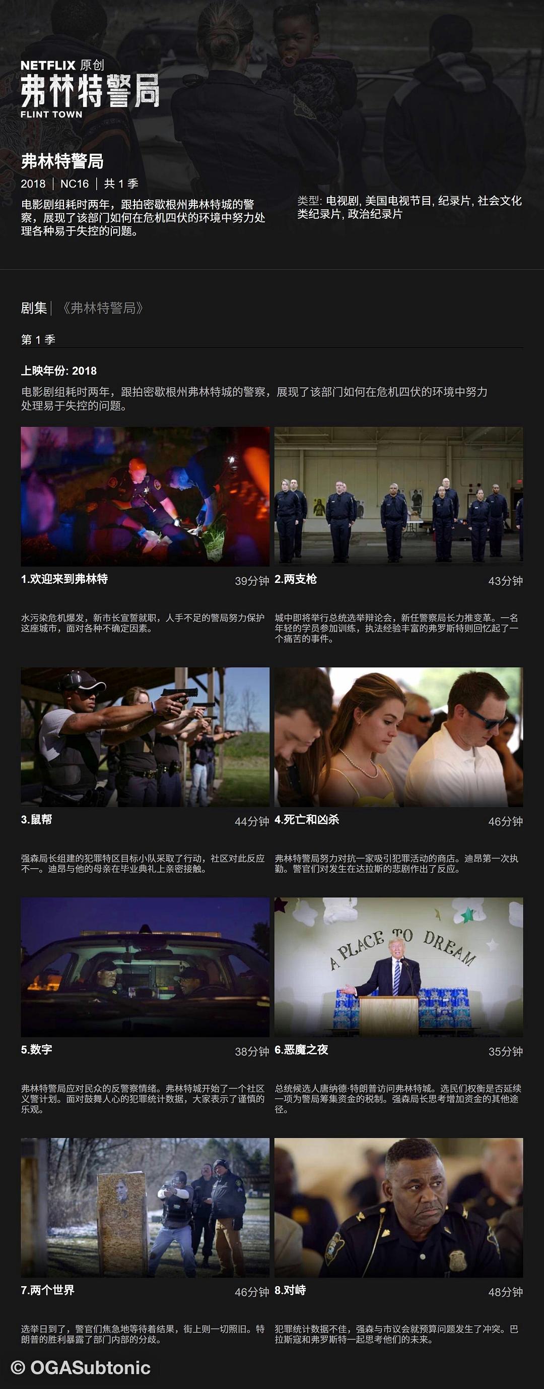 弗林特警局 Flint Town