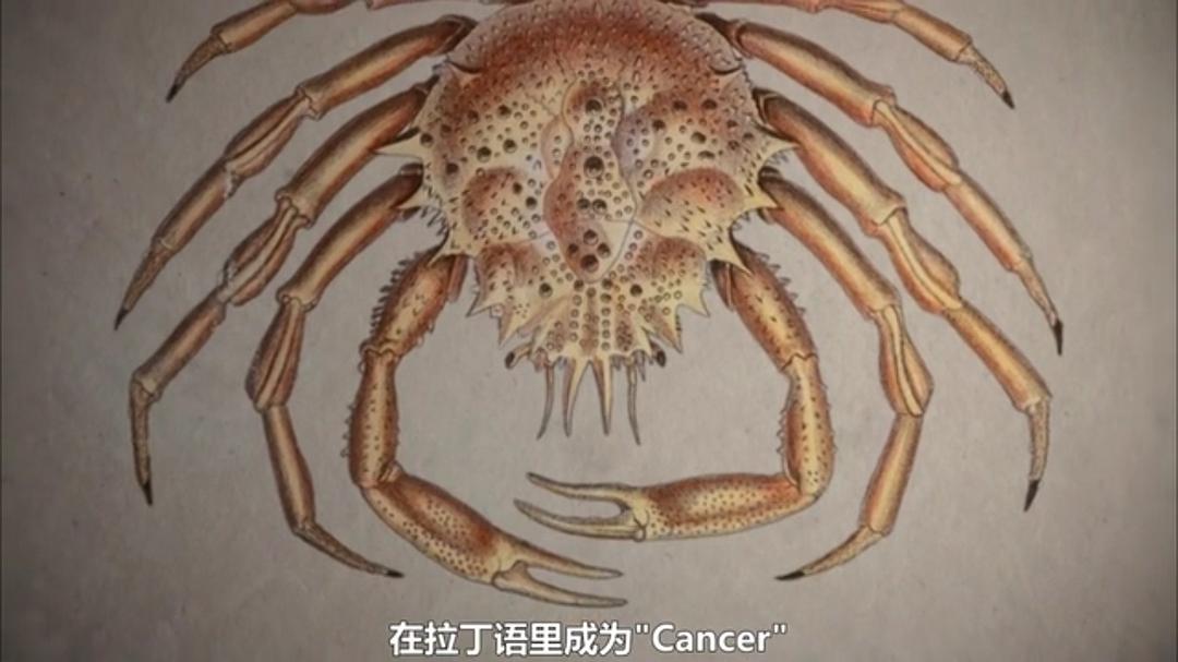 癌症：众疾之皇 Cancer: The Emperor of All Maladies