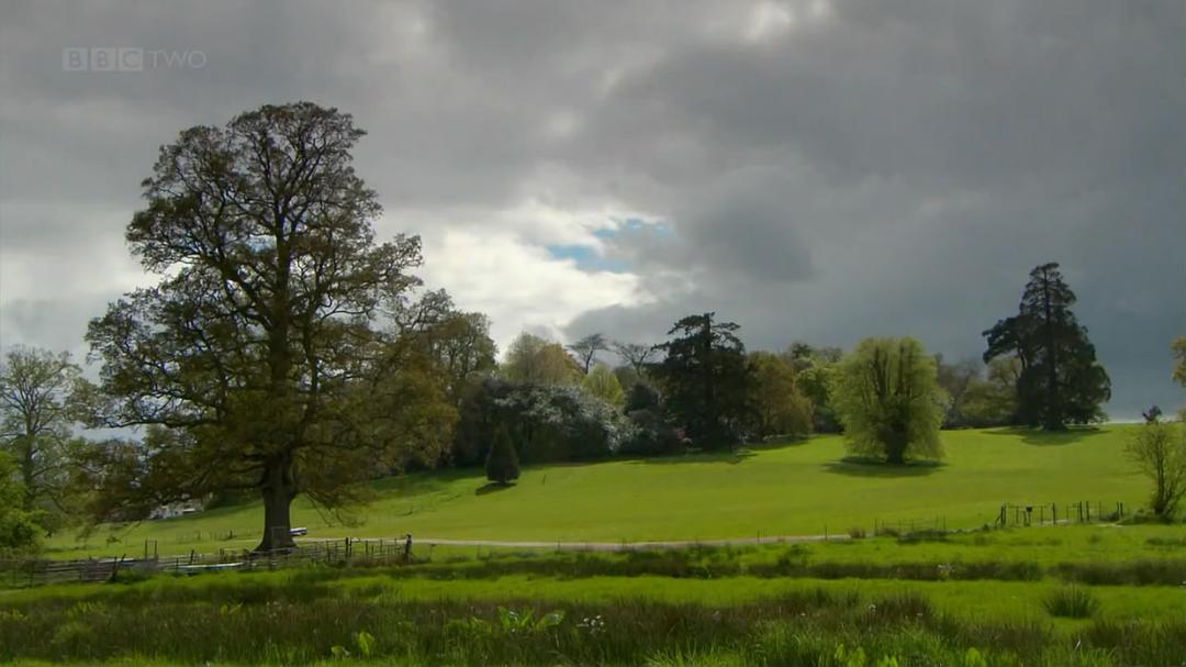 穴居动物大观 第一季 The Burrowers: Animals Underground Season 1