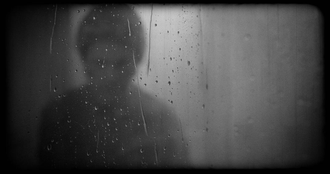 78/52：希区柯克的洗澡戏 78/52