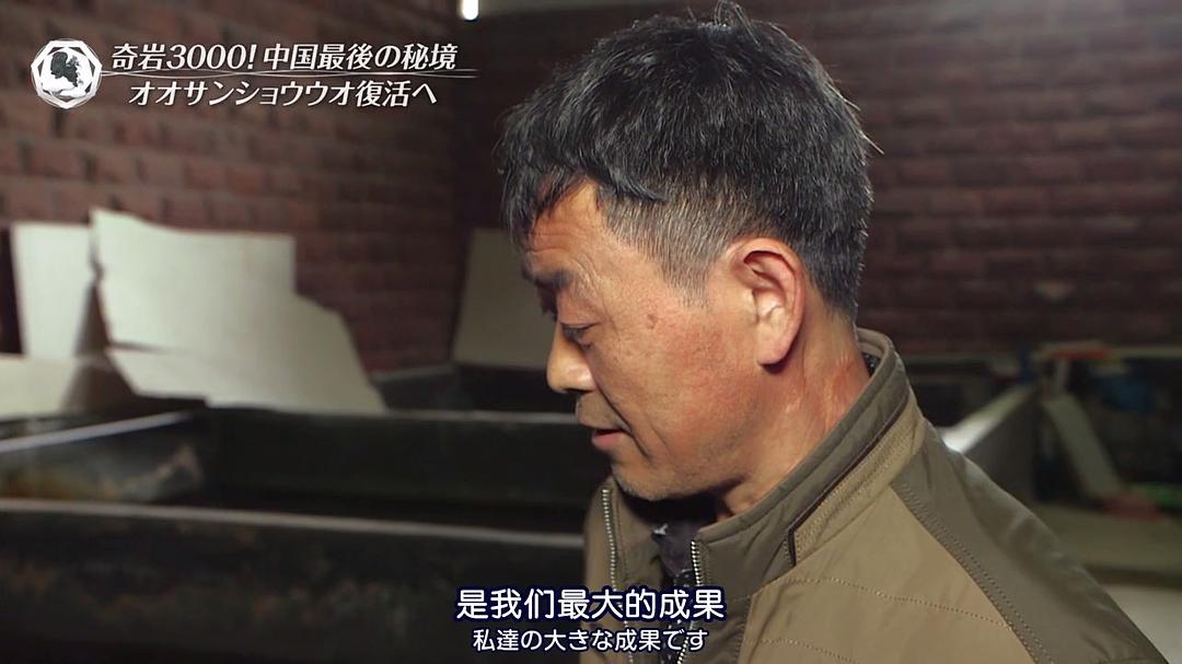 THE 世界遗产 THE 世界遺産